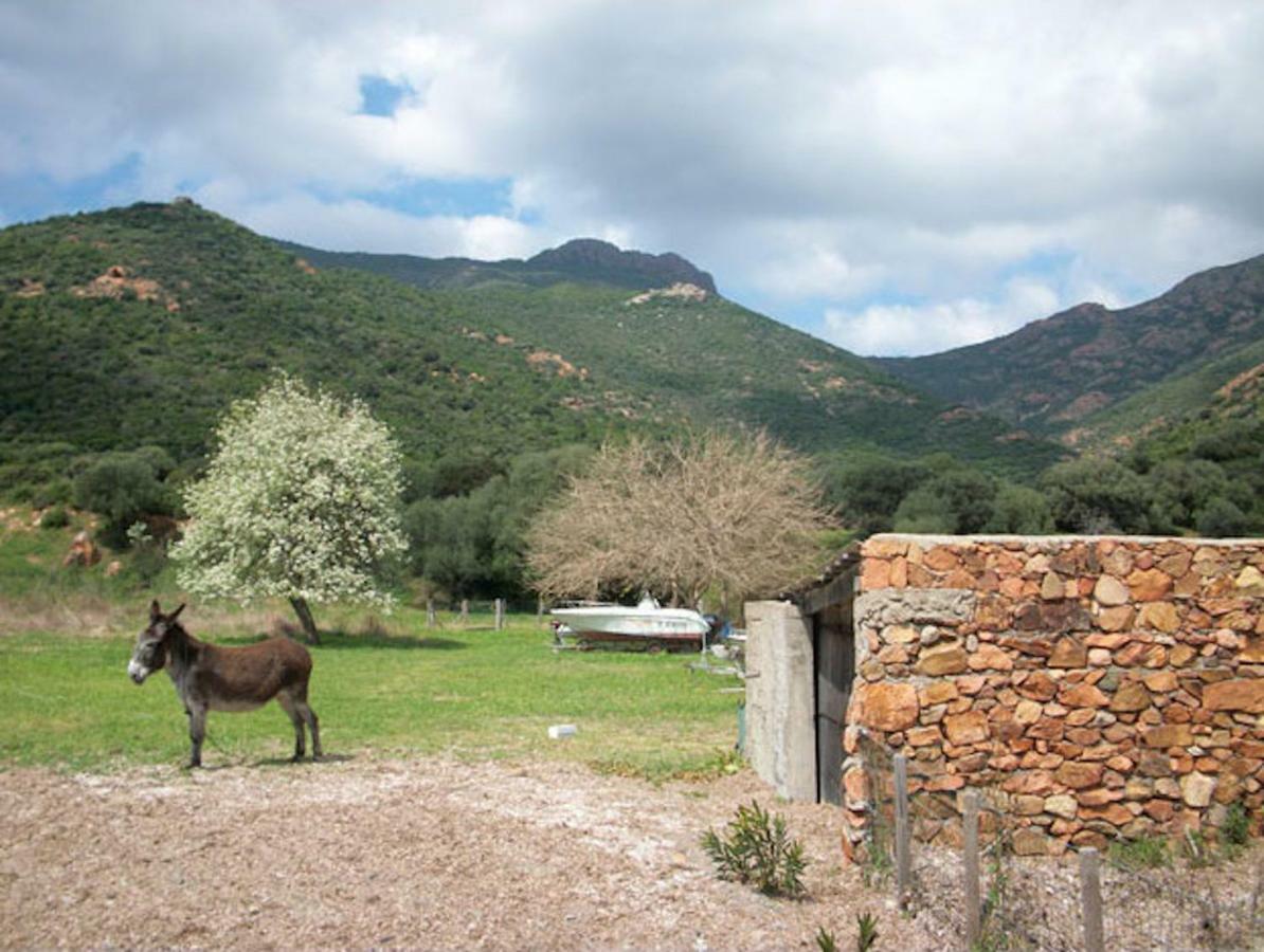 Maison De Vacances Renno Bagian luar foto